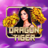 Dragon Tiger on phwin apk